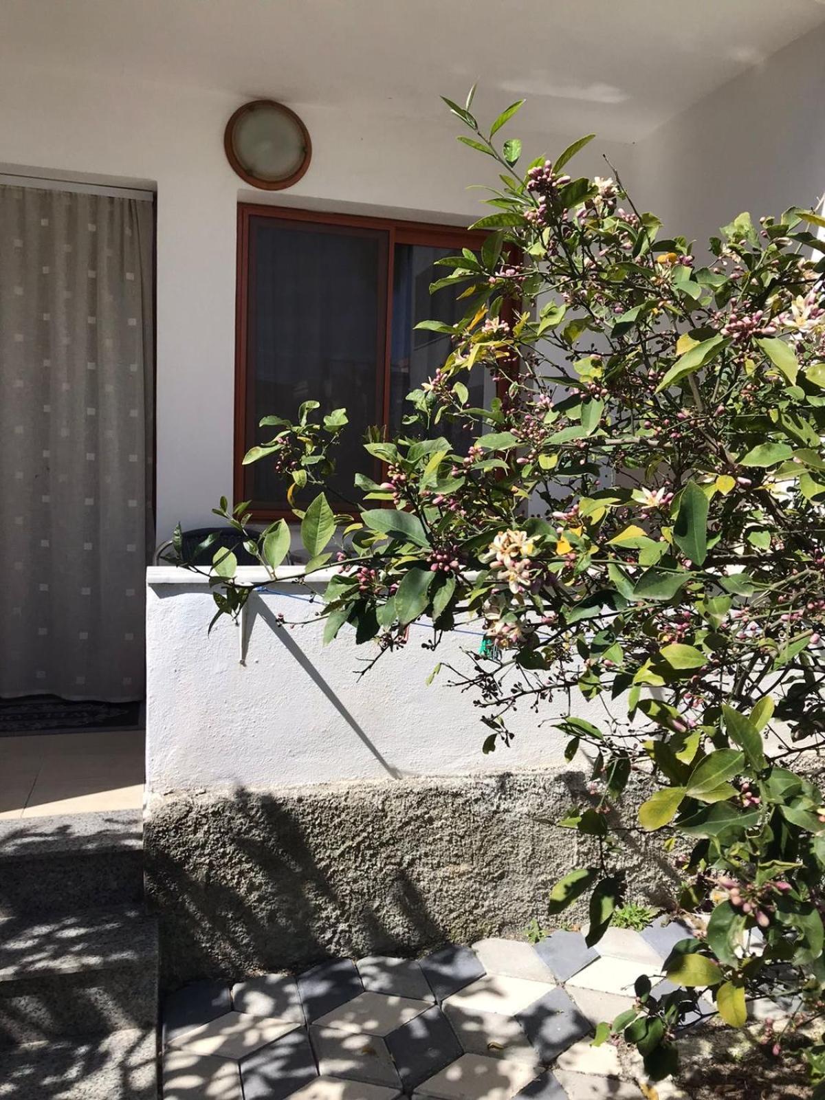 מלון דורס Vila Cano מראה חיצוני תמונה